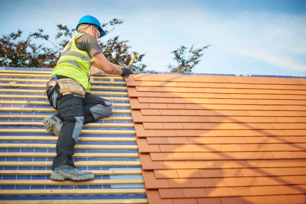 Best Gutter Installation and Repair  in Mountain City, GA
